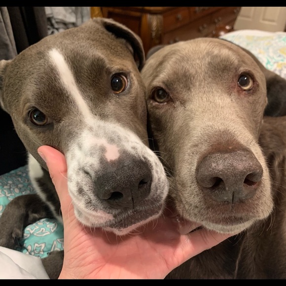 Meet your Posher, Jamie - Picture 3 of 13